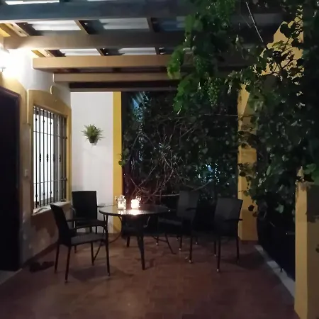 Casa el Olivo-2